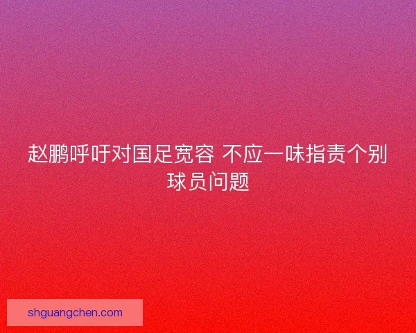 赵鹏呼吁对国足宽容 不应一味指责个别球员问题