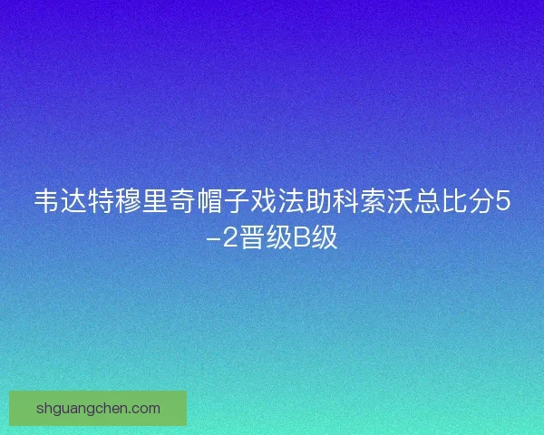 韦达特穆里奇帽子戏法助科索沃总比分5-2晋级B级