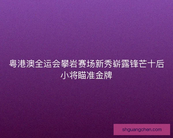 粤港澳全运会攀岩赛场新秀崭露锋芒十后小将瞄准金牌
