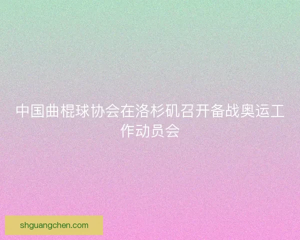 中国曲棍球协会在洛杉矶召开备战奥运工作动员会 中国曲棍球协会在洛杉矶召开备战奥运工作动员会